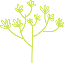 plantas